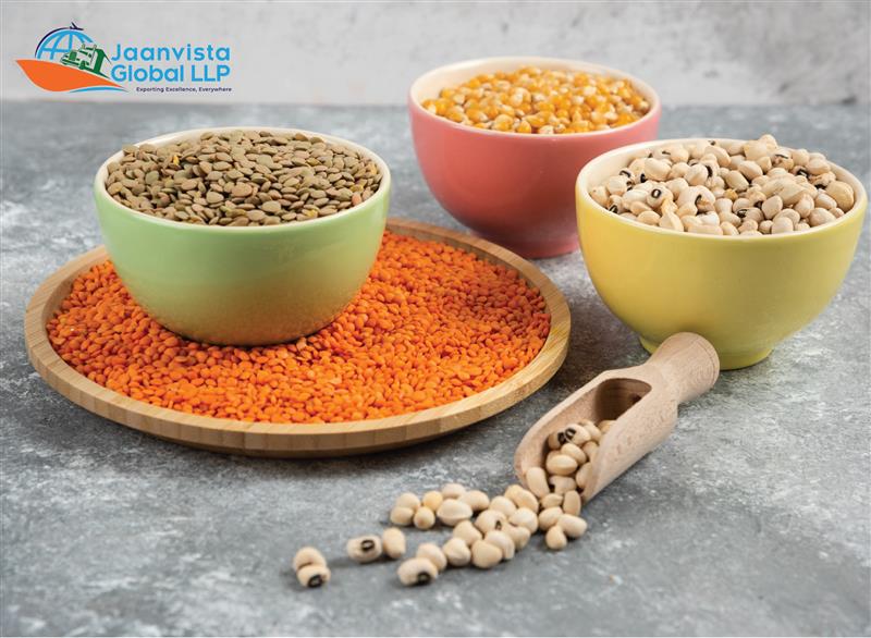 Indian Pulses